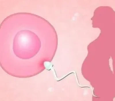 高龄女性做试管，移植前先过身体安全和胚胎质量几道关