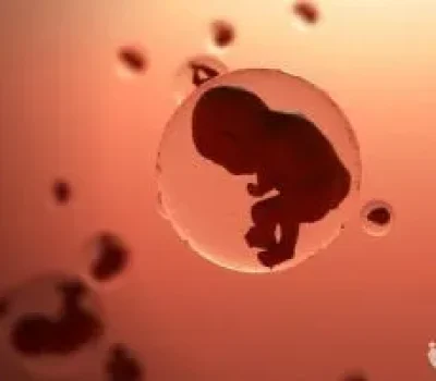 三代试管能百分之百阻断杜氏肌营养不良吗，先查清家族致病变异