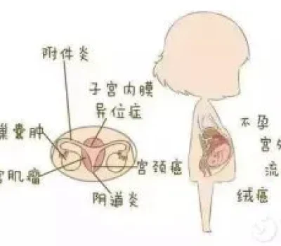 三级胚胎不是死刑判决，移植选择不能只看等级