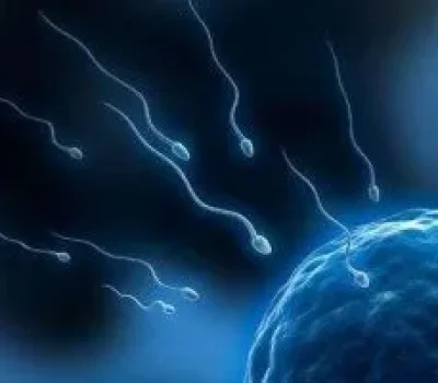 人工授精不是打一针就能怀孕，先查输卵管和精液再决定走哪条路